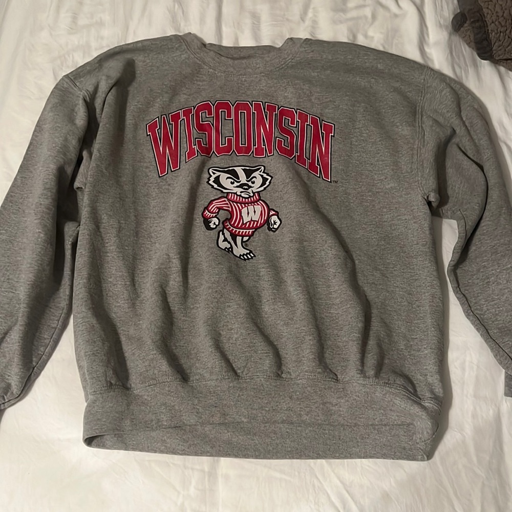 Wisconsin hoodie